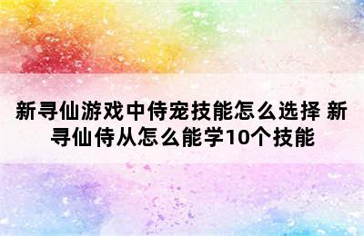 新寻仙游戏中侍宠技能怎么选择 新寻仙侍从怎么能学10个技能